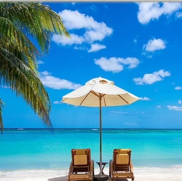 Meet your Posher, Katrina - Picture 1 of 1